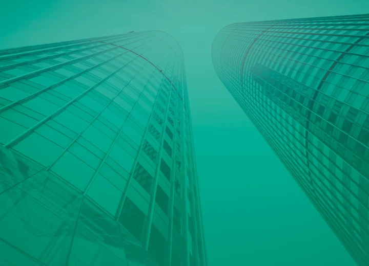 How much does it cost to maintain a private limited company in Sri Lanka